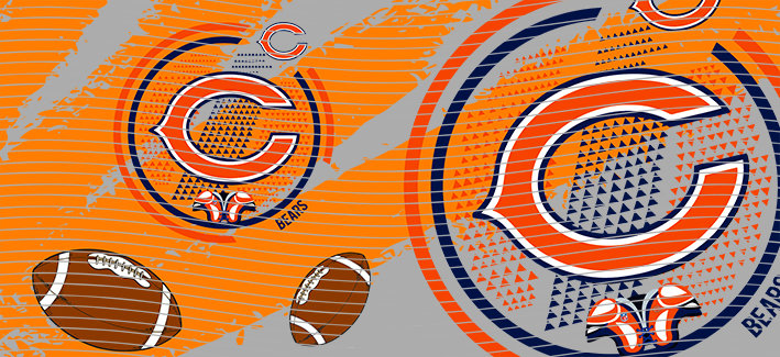 16oz team-NFL 2974
